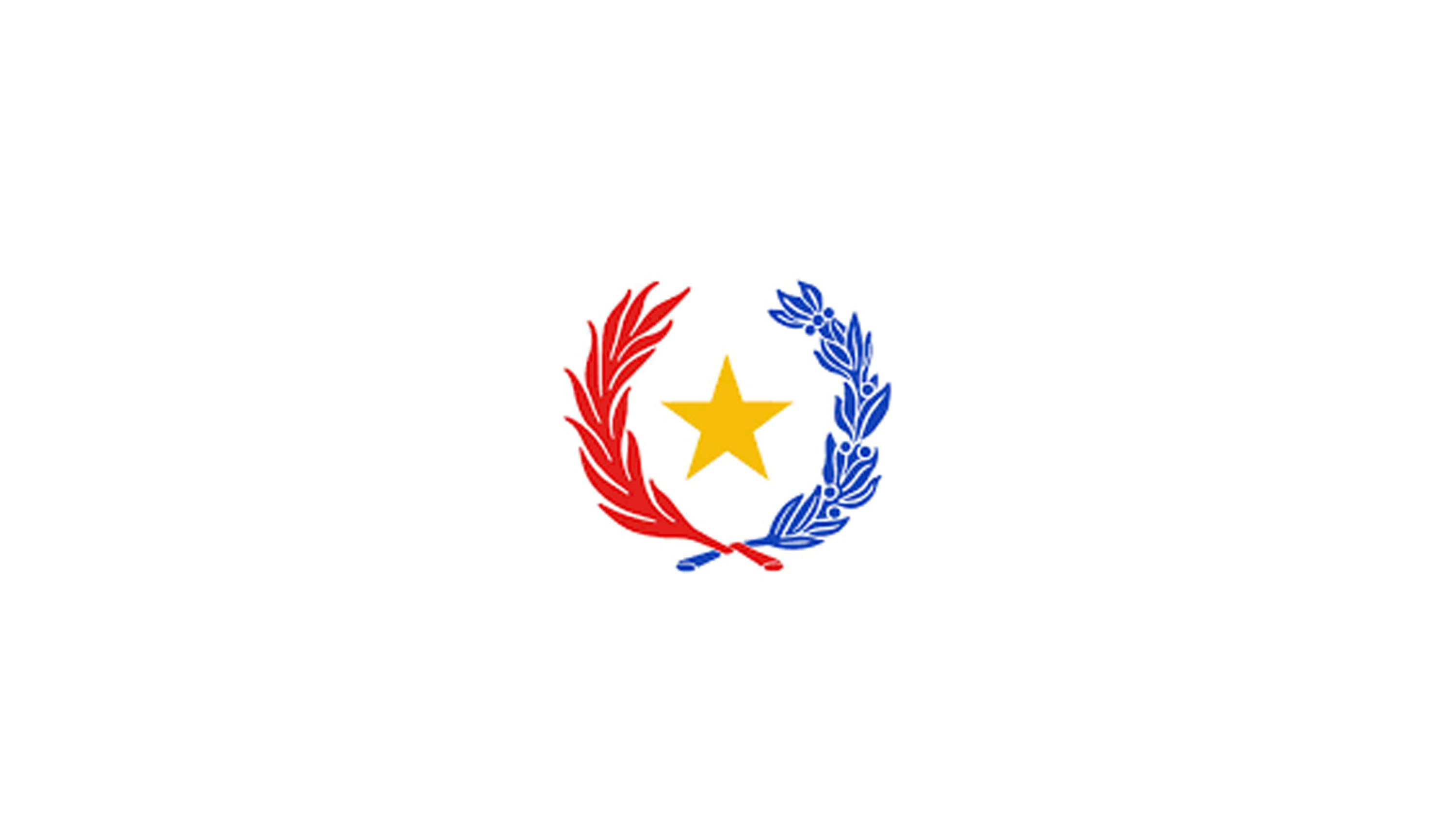 Dinapi Logo